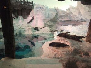 Light up the Night 028