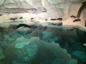 Light up the Night 030