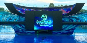 Light up the Night 039