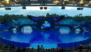 Light up the Night 041