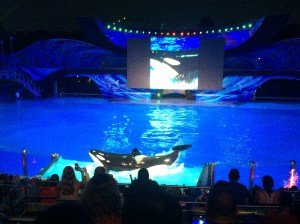 Light up the Night 049