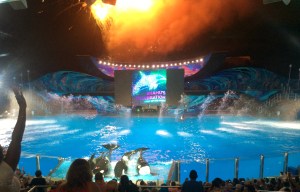 Light up the Night 065