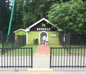 Six Flags over Georgia 006