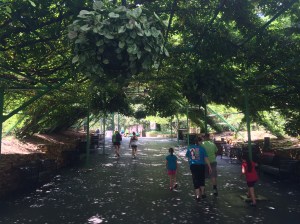 Six Flags over Georgia 013