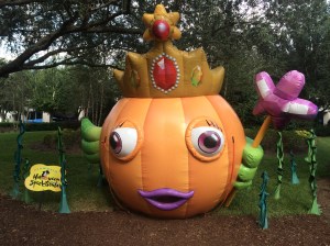 Temp folder 10-21-14 083