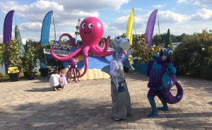 Temp folder 10-21-14 099