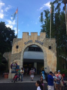 Temp folder 10-21-14 104