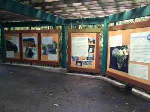 Busch Gardens and Fun Spot America 213