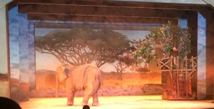 Busch Gardens and Fun Spot America 218