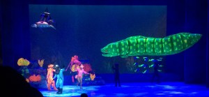 Busch Gardens and Fun Spot America 224