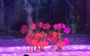 Busch Gardens and Fun Spot America 229