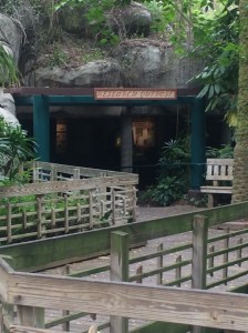 Busch Gardens Tampa 094