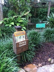 Busch Gardens and Fun Spot America 045