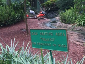 Busch Gardens and Fun Spot America 046