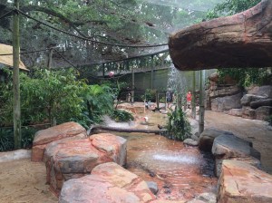 Busch Gardens and Fun Spot America 076