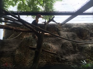 Busch Gardens and Fun Spot America 084