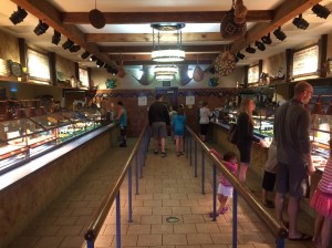 Busch Gardens and Fun Spot America 106