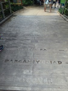 Busch Gardens and Fun Spot America 145