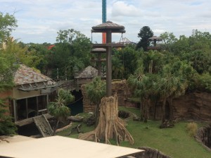 Busch Gardens and Fun Spot America 156