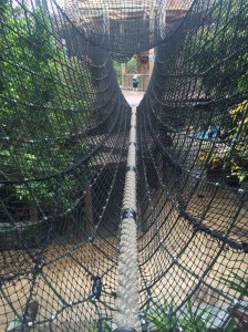 Busch Gardens and Fun Spot America 160