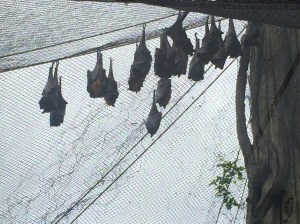 Busch Gardens and Fun Spot America 161