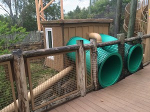 Busch Gardens and Fun Spot America 162