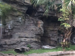 Busch Gardens and Fun Spot America 165