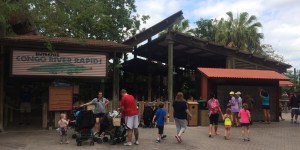 Busch Gardens and Fun Spot America 179