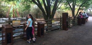 Busch Gardens and Fun Spot America 180