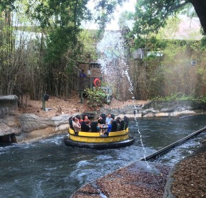 Busch Gardens and Fun Spot America 182