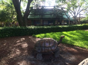 Busch Gardens and Fun Spot America 197