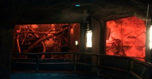 Busch Gardens and Fun Spot America 200