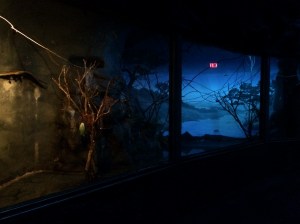 Busch Gardens and Fun Spot America 201