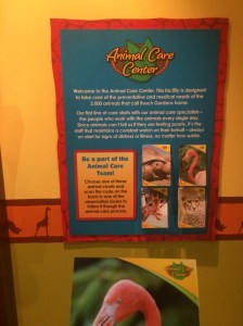 Busch Gardens Tampa 138