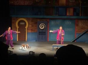 Busch Gardens Tampa 151