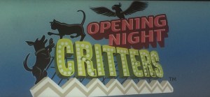 Busch Gardens Tampa 158