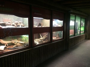 Busch Gardens Tampa 183