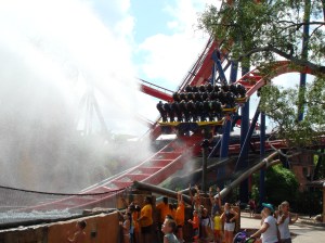 Floorless Sheikra 011 (2)