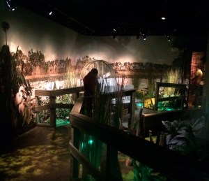 I-Drive 360 and OCSC vs NE 025