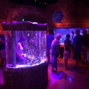 I-Drive 360 and OCSC vs NE 058