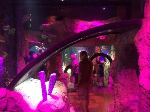 I-Drive 360 and OCSC vs NE 068