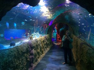 I-Drive 360 and OCSC vs NE 073