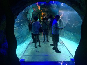 I-Drive 360 and OCSC vs NE 074