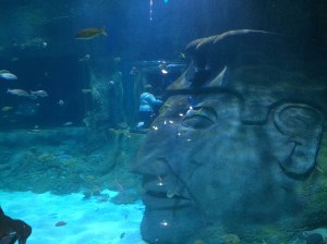 I-Drive 360 and OCSC vs NE 075