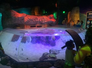 I-Drive 360 and OCSC vs NE 079