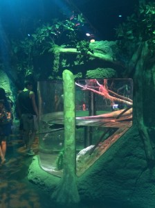 I-Drive 360 and OCSC vs NE 080