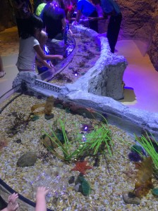 I-Drive 360 and OCSC vs NE 083